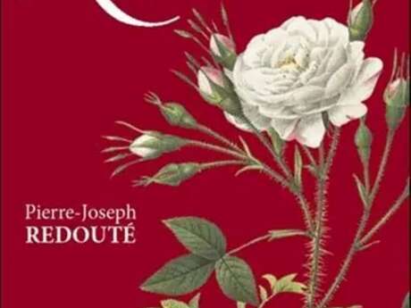 Conférence: La Beauté des Plantes