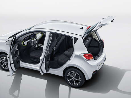 Coco Green Car