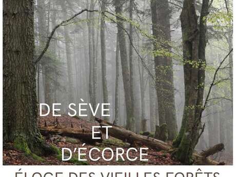 EXPOSITION "DE SÈVE ET D'ÉCORCE : ÉLOGE DES VIEILLES FORÊTS"