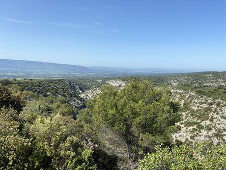 Sentier du maquis par la Sénancole : Nature et Mémoire