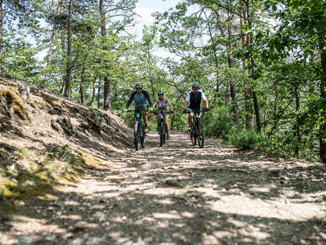Accompagnateur Vélo - Sortie Initiation - Le Vélodrome Châtel-Guyon