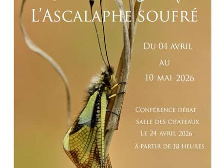 Conférence sur l’ascalaphe par Jean-Claude Capel