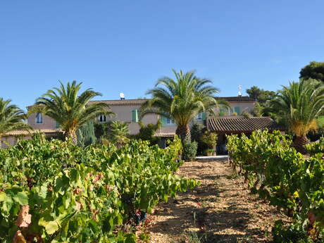 Aventure dans les vignes - Domaine de la Sanglière