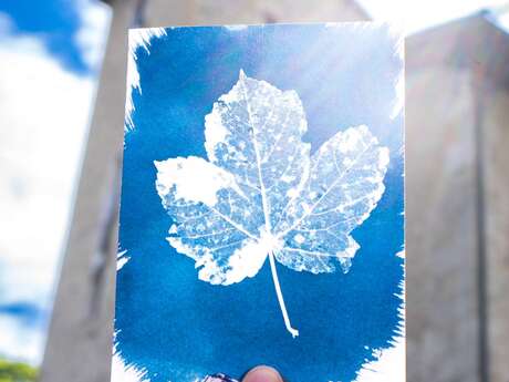 Au labo sous les marronniers : I've got the bleu !