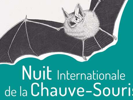 Nuit de la chauve-souris à Boscodon