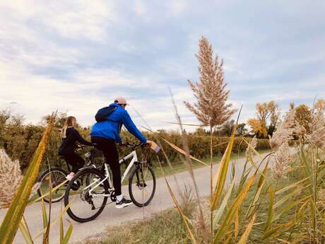 12 - Entre vignobles et vergers