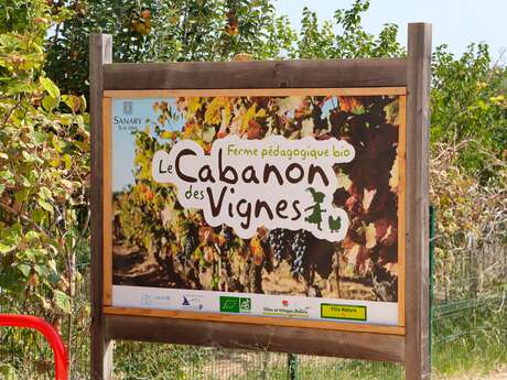 Cabanon des vignes