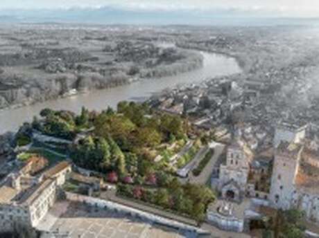 Visite commentée de la réhabilitation du Rocher des Doms