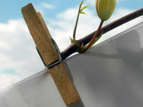 Exposition collective La Grande Lessive