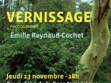 Exposition photo Émilie Reynaud-Cochet
