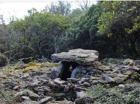 Randonnées : Les Capélans