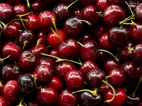 Fête des cerises