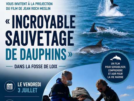 Festival à vol d'oiseau  - Incroyables sauvetages de dauphins