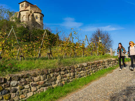 GR® de Pays Côtes du Forez Sud