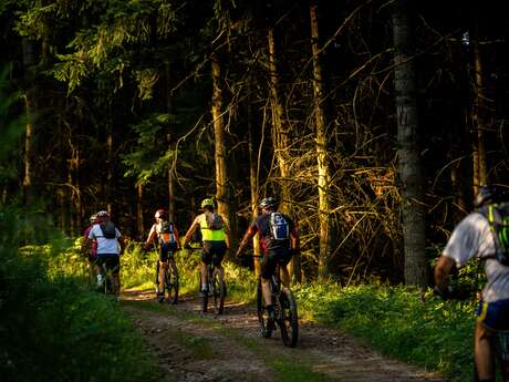 N°103 - Les balcons du Forez - Espace VTT Montbrison-Monts du Forez