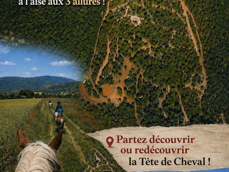 Randonnée à cheval La fenière