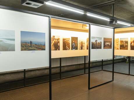 Exposition photo - Beauté du monde vivant