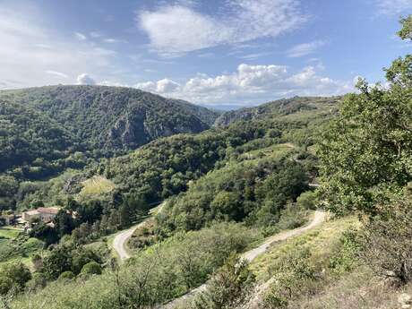 From the Ay river to the Rhône