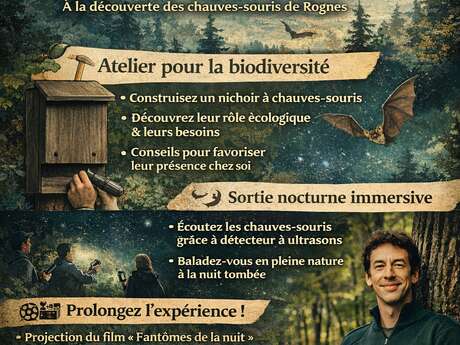Atelier fabrication de nichoirs pour chauves-souris et sortie nocturne