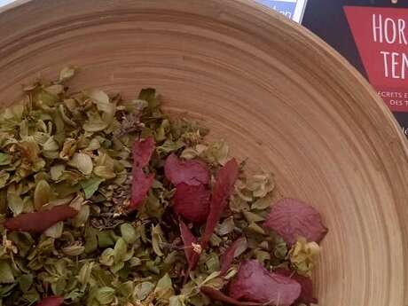 Reconnaissance de plantes et ateliers