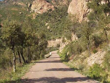 Sentier de randonnée le Malpey