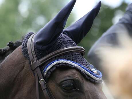 Tournée des As - Concours de saut d'obstacles