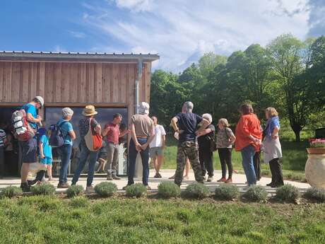 Visite guidée lavande hors floraison à la Lavanderaie des Hautes Baronnies