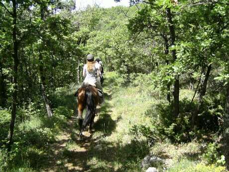 Balade à cheval -  Centre de randonnée équestre Janssaud