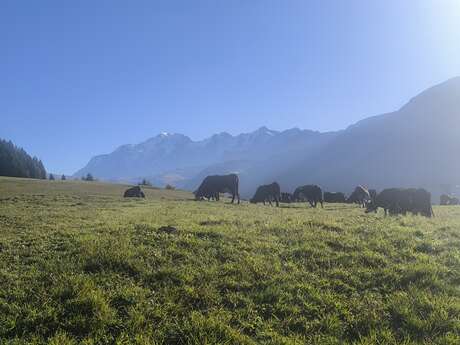 A la découverte de l'agriculture en montagne