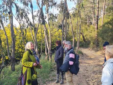 Balades Guidées: Tanneron, le mimosa et les plantes à parfum du Massif