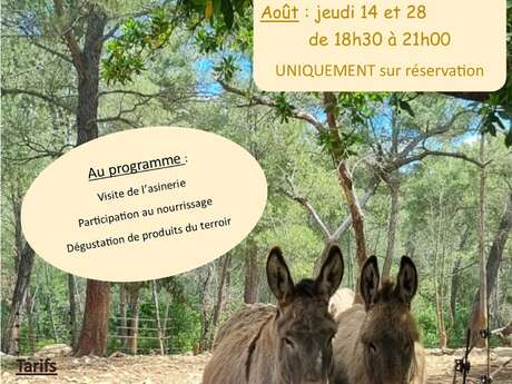 Une soirée au pré des ânes