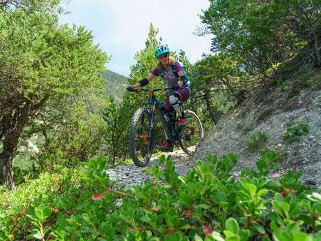 VTT N°06 - Circuit du Grand Parcher