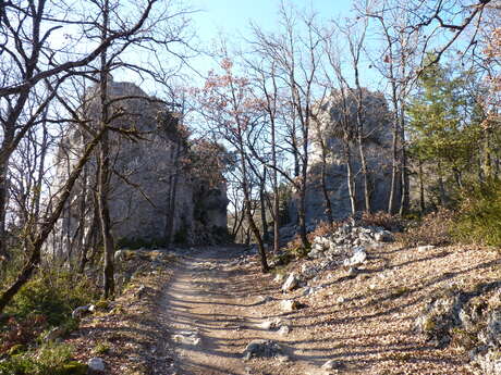 Circuit Pédestre - Sentier de Canaud