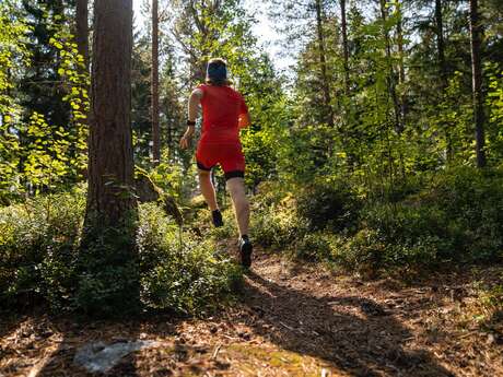 Initiation au trail