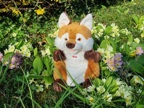 Les histoires de Rudy