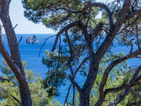 Massif du cap Sicié