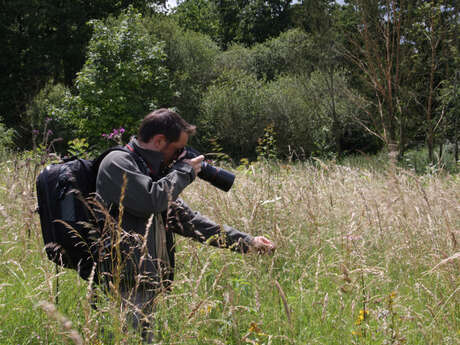 Dunes d'Ecault – Photographier plantes et insectes