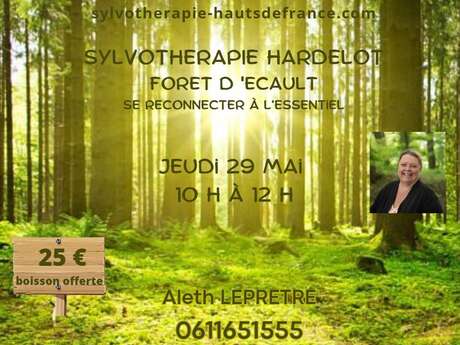 Sylvothérapie - Forêt d'Ecault Hardelot