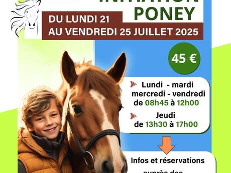 Pole estival : Stage initiation poney