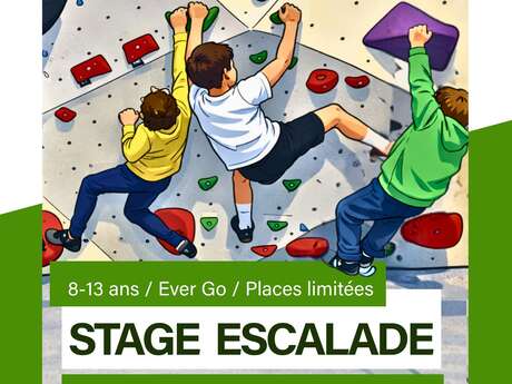 Stage escalade