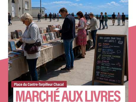 Marché aux livres, cd, dvd, vinyles jeux vidéos