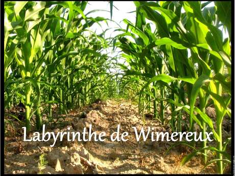 Labyrinthe de Wimereux