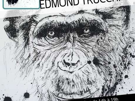 ACB Artisanat et Création du Boulonnais : Exposition  Edmond TRUCCHI