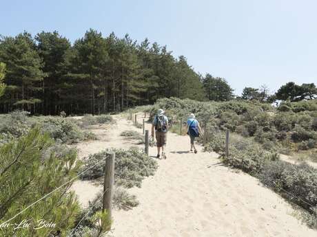 Association Patchwork : "On a marché sur la dune": Balade de la Slack + pique-nique