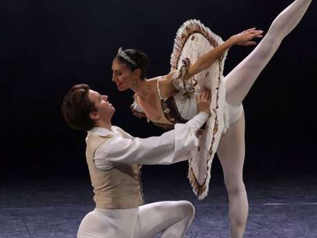 La Belle au bois dormant