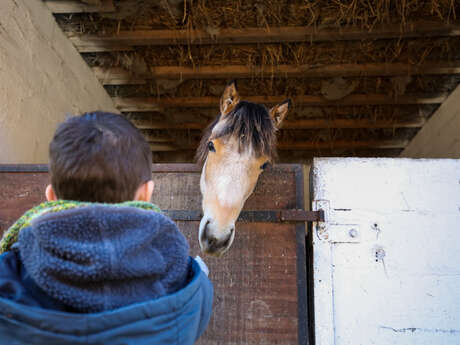 Ecurie de la Haye (ex: écurie des parpaillots)