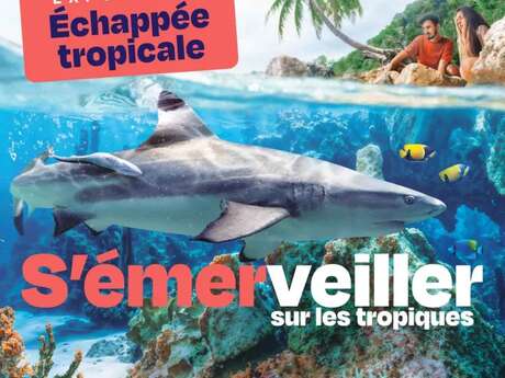 Exposition : Echappée Tropicale