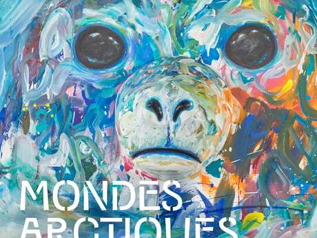 Visites Guidées Château Musée - Mondes Artiques