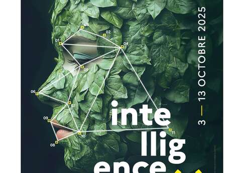 Visite Scientifique en Herbe - Fête de la science au Château comtal/Musée de Boulogne-sur-Mer