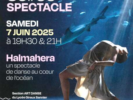 Soirée Spectacle - Halmahera - Nausicaá